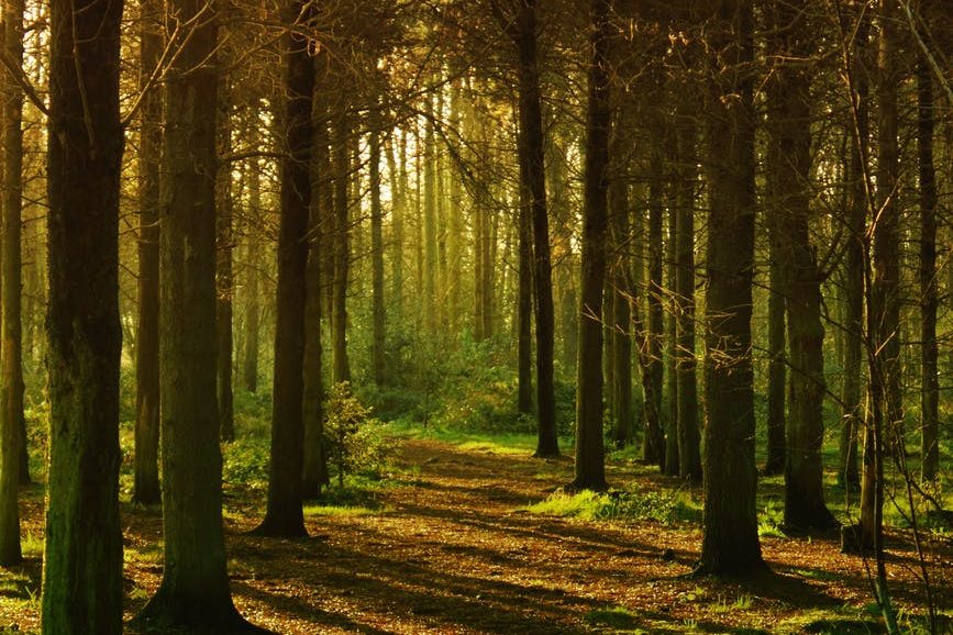 Clear water at the beach